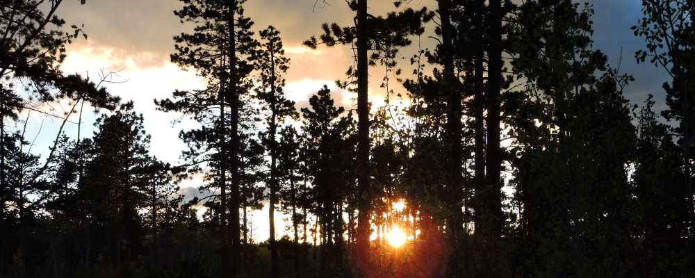 The May, 2020 Suntouch