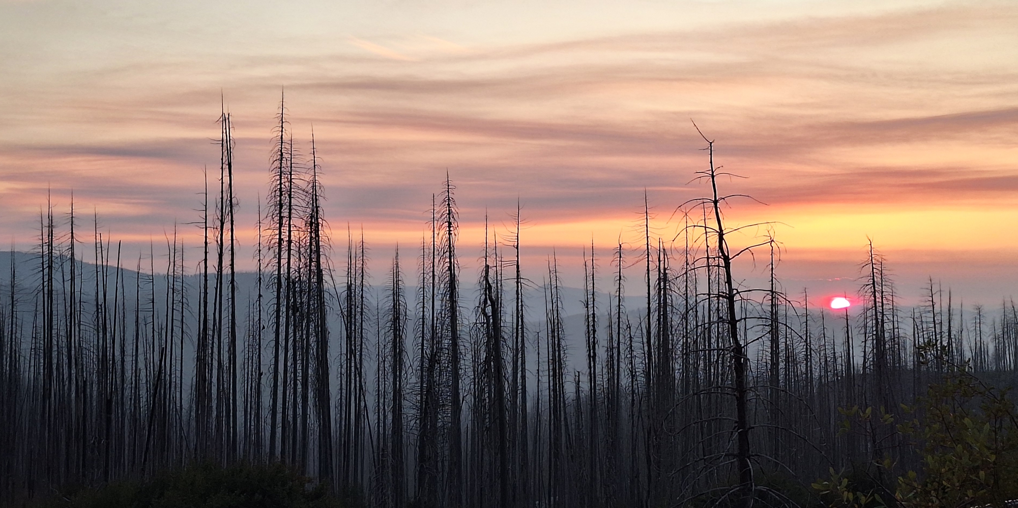 The 2025 Journey, The September Suntouch Gallery