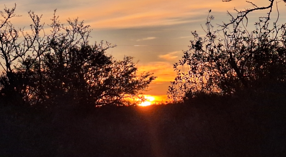 The Dayspring, The SuntouchThe 2026 Journey, The January Sunglow Gallery