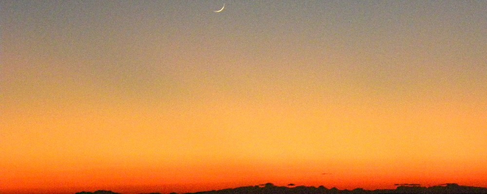 The 2009 Crescent Moon