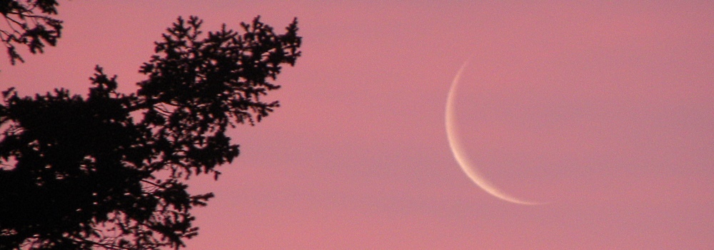 The 2011 Crescent Moon