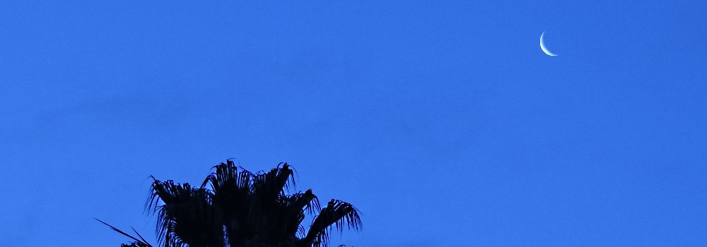 The 2017 Crescent Moon