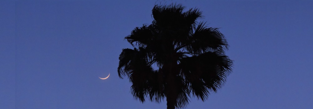 The 2018 Crescent Moon