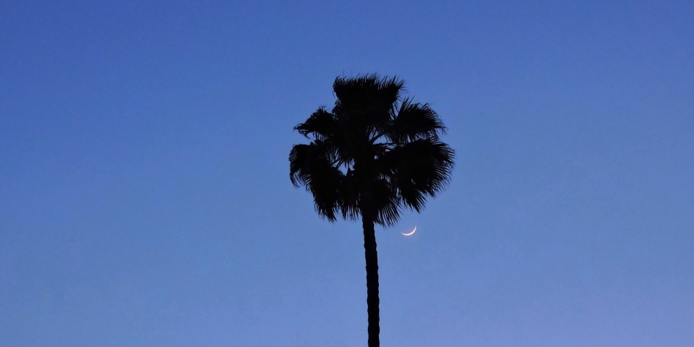 The 2018 Crescent Moon