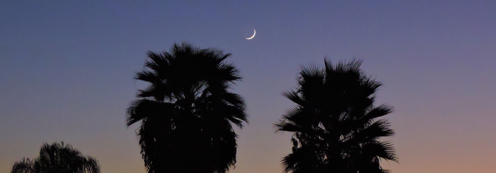 The 2019 Crescent Moon