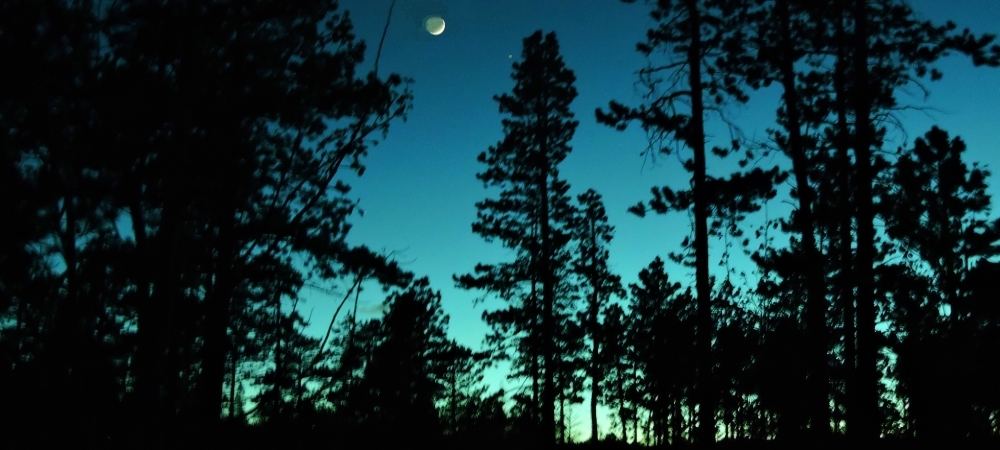 The 2020 JourneyEven Gallery