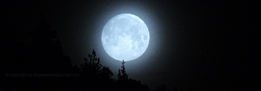 The March Full MoonThe Worm Moon