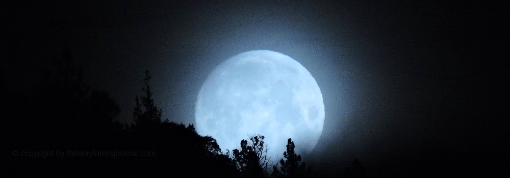 The March Full MoonThe Worm Moon