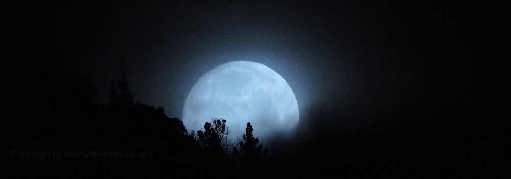 The March Full MoonThe Worm Moon