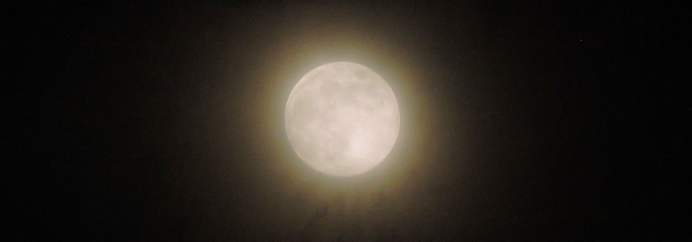 The Flower Moon