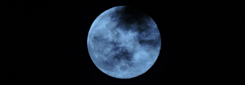 The Flower Moon
