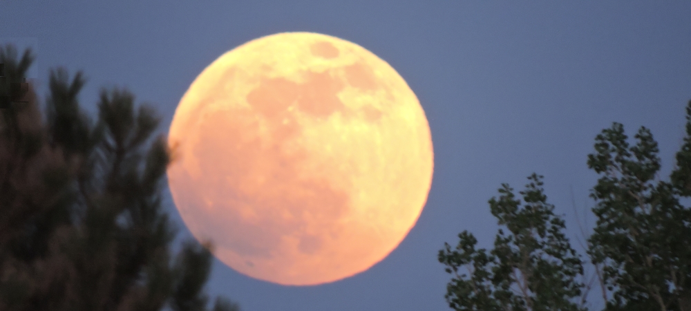 The Changing Moon2022 Journey, Flower Moon