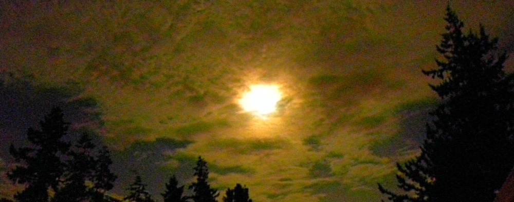The July Full MoonThe Buck Moon