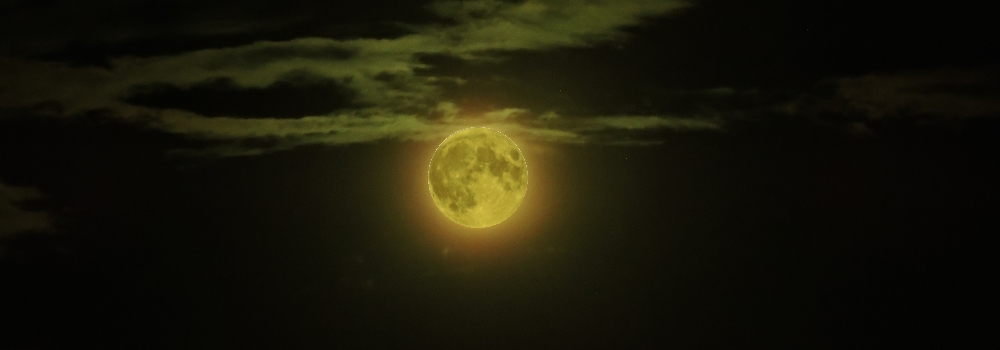 The 2019 Buck Moon