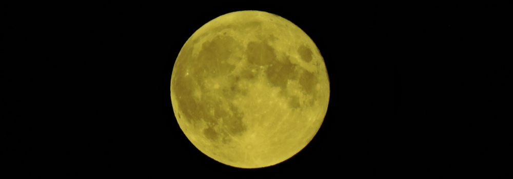 The 2019 Buck Moon