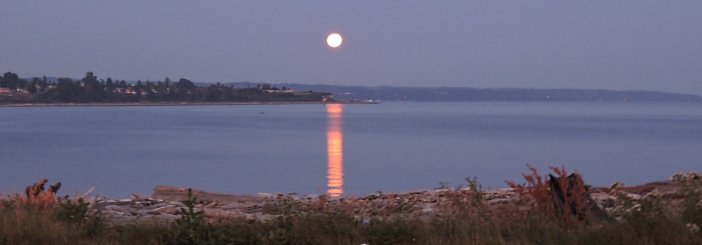 The 2020 Buck Moon