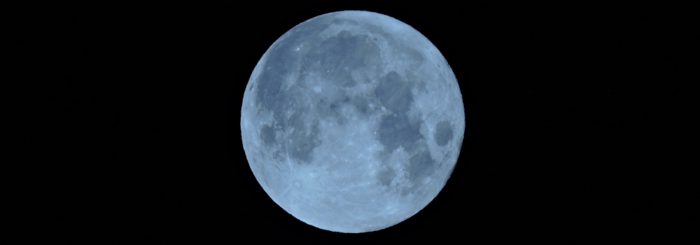 The 2020 Buck Moon