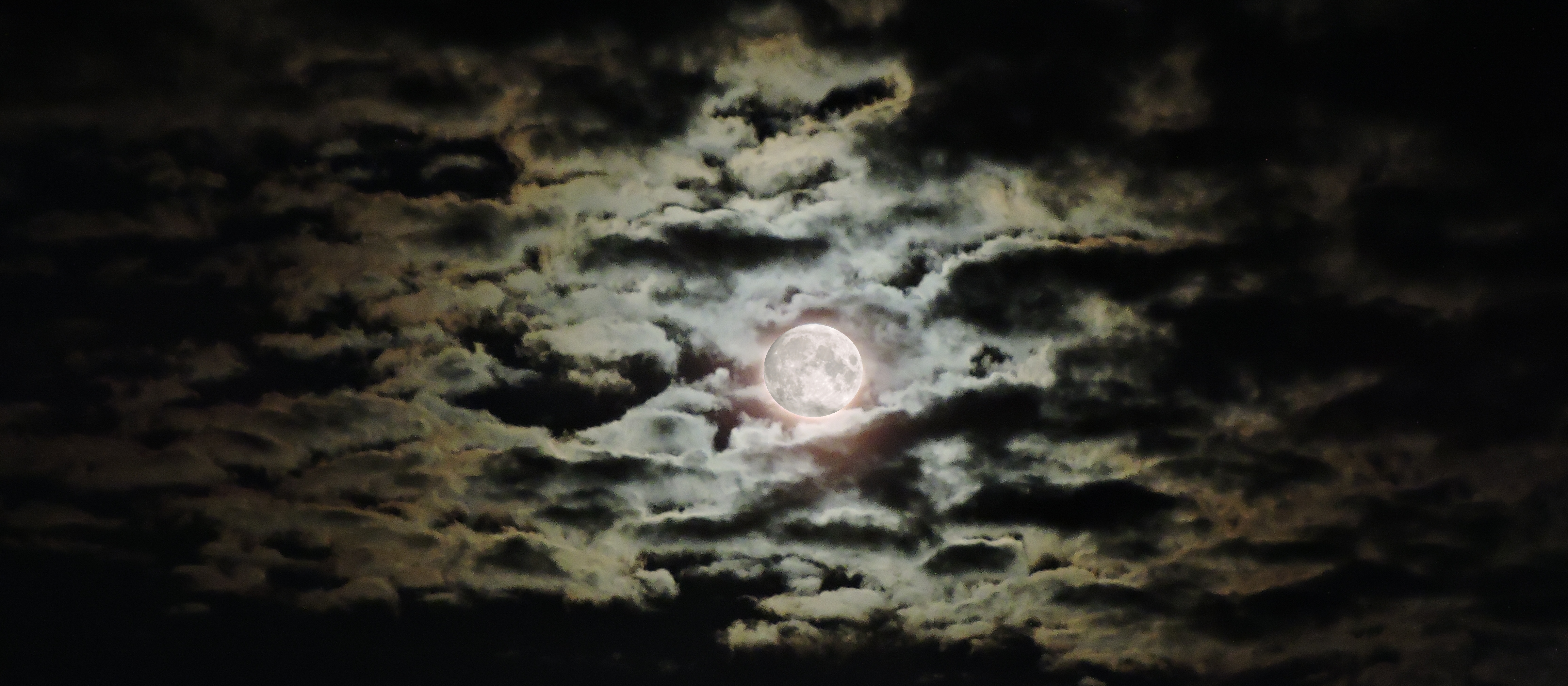 The Changing Moon2021 Journey, Buck Moon