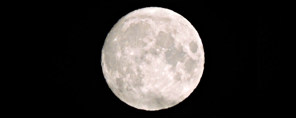 The Changing Moon2021 Journey, Buck Moon