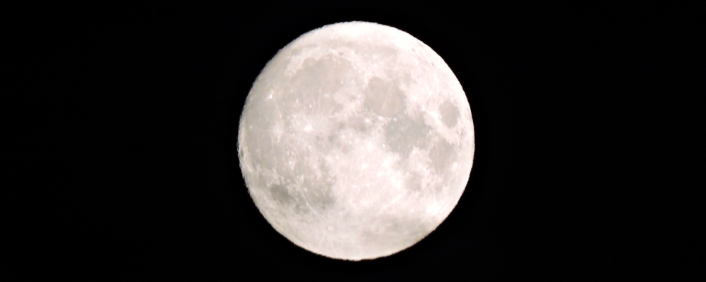 The Changing Moon2021 Journey, Buck Moon