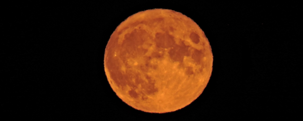 The Changing Moon2021 Journey, Buck Moon