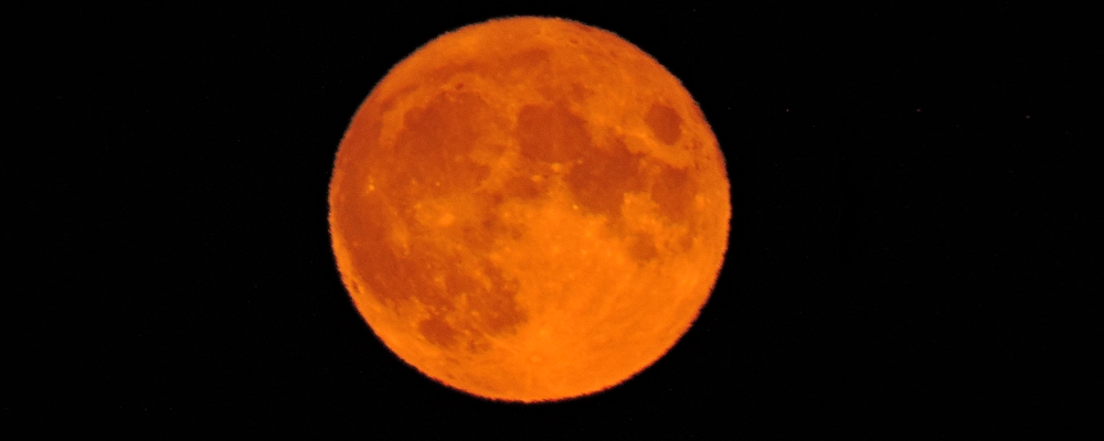 The Changing Moon2021 Journey, Buck Moon