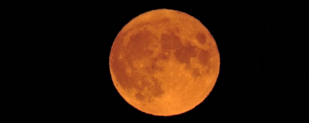 The Changing Moon2021 Journey, Buck Moon
