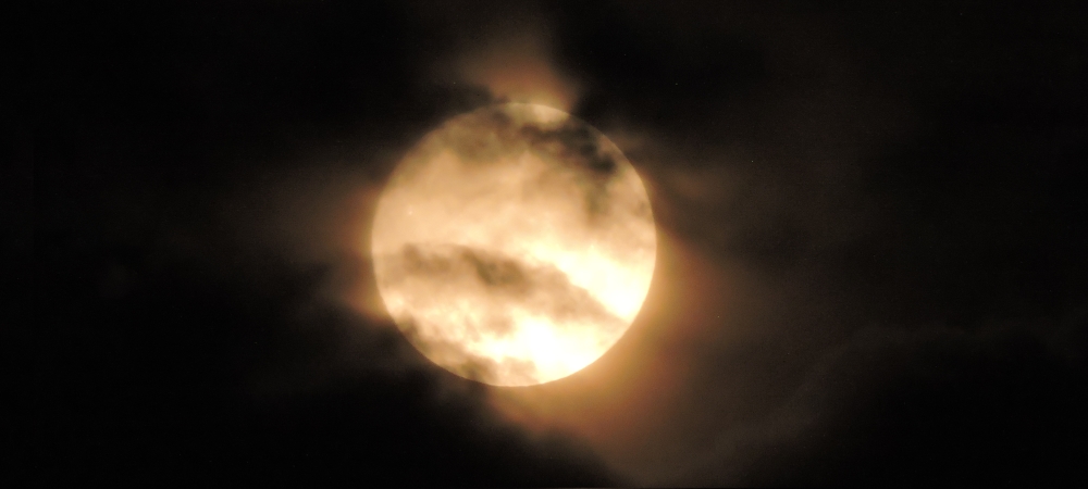 The Changing Moon2022 Journey, Buck Moon