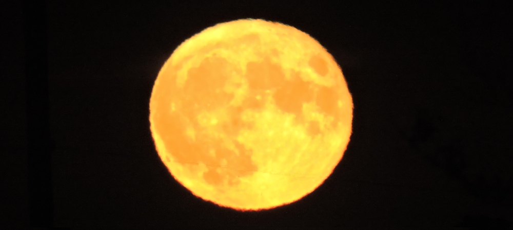 The Changing Moon2022 Journey, Buck Moon