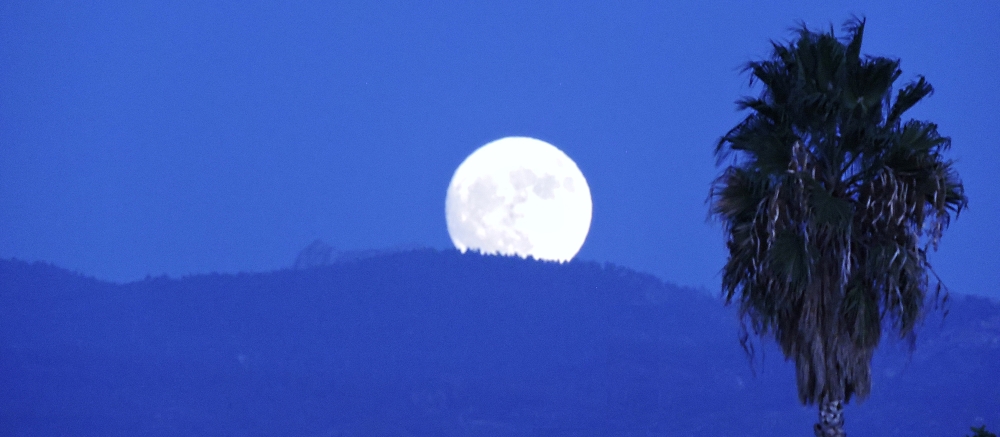 The Hunters Moonin the California Desert