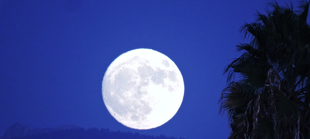 The Hunters Moonin the California Desert