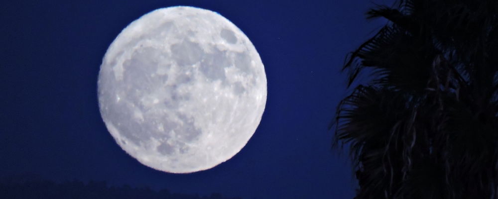 The Hunters Moonin the California Desert