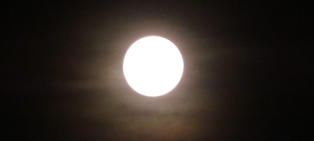 The Hunters Moon, NNN PARK, SSS