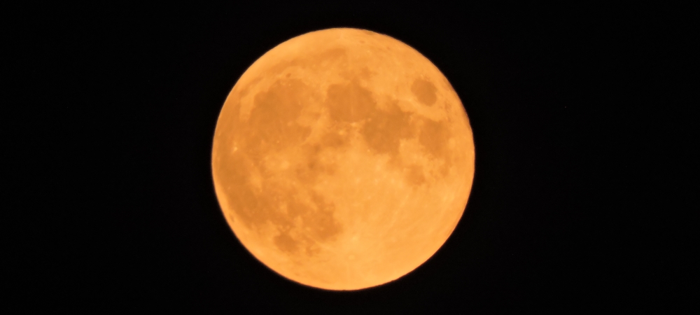 The Hunters Moon, NNN PARK, SSS
