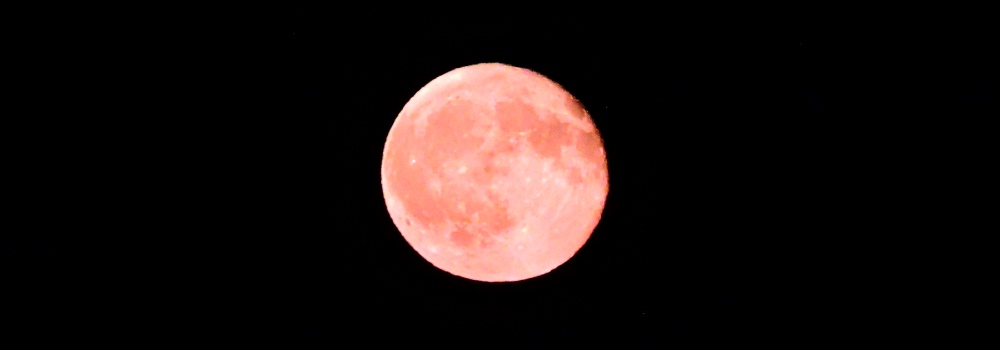 The Red Moon fromForest Fire Smoke