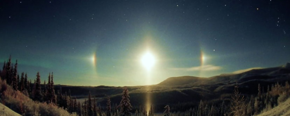 The Moondog