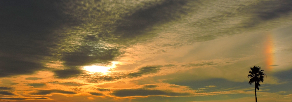 Halo GalleryThe Sundog