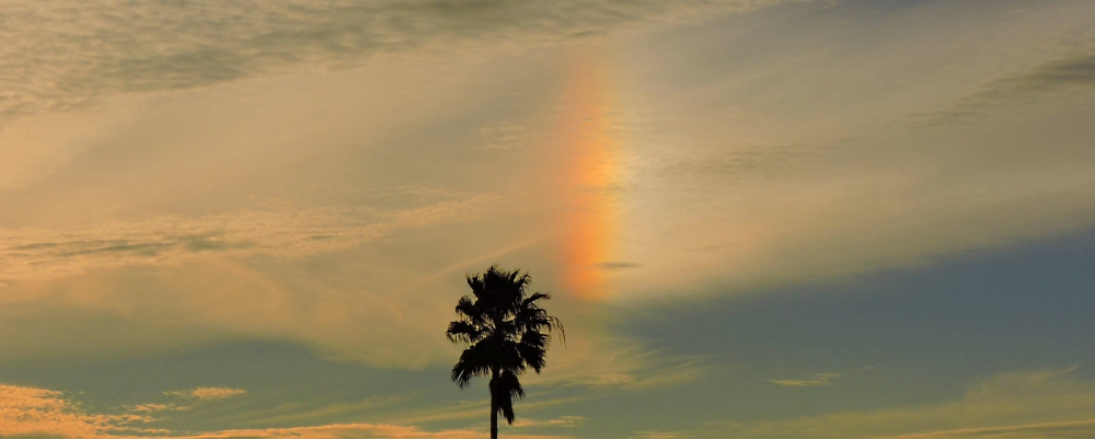 Halo GalleryThe Sundog