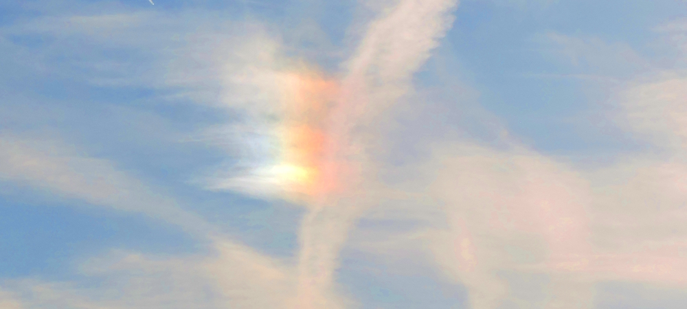 Halo GalleryThe Sundog Halo