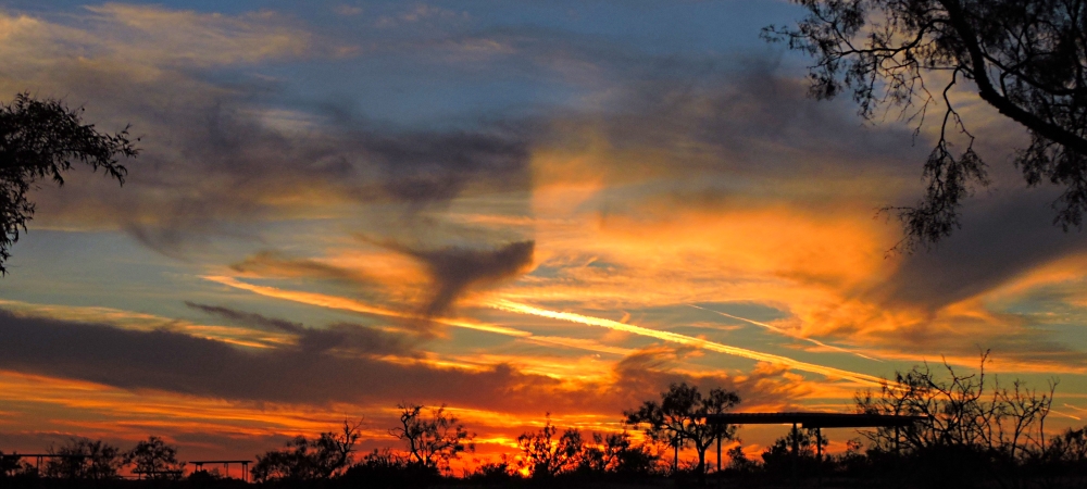 Halo GalleryThe Sun Pillar