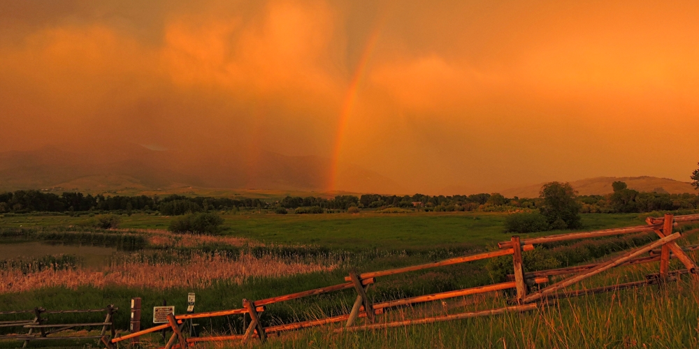 The 2019 JourneyThe June Sunglow