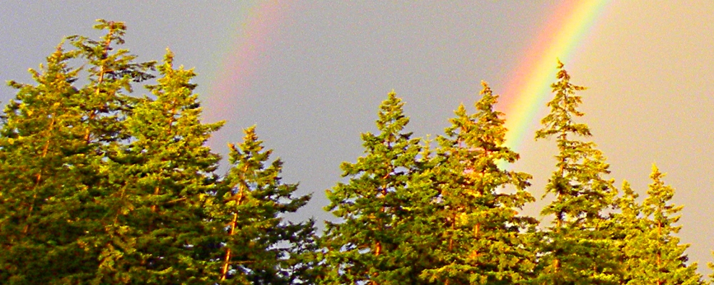 The Secondary Rainbow GalleryA Double Rainbow