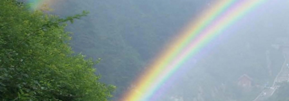 The Twinned Bow