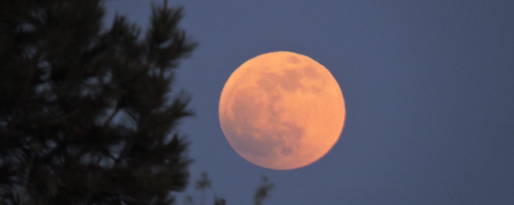 The Predictable Lunar Saros Series 131, Eclipse
