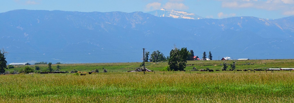 The Beartooth HighwayThe Valley Path