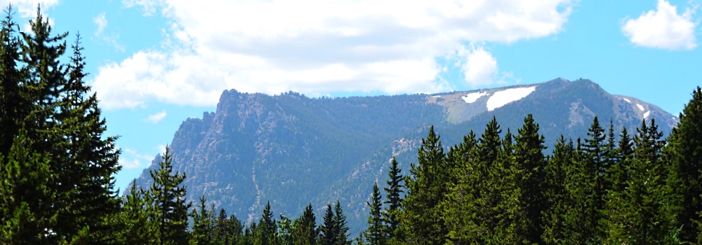 Beartooth HighwayThe Evergreen Path