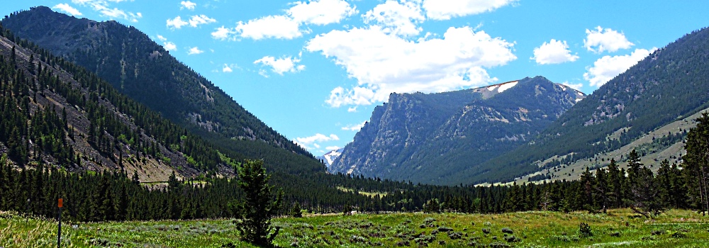 Beartooth HighwayThe Evergreen Path