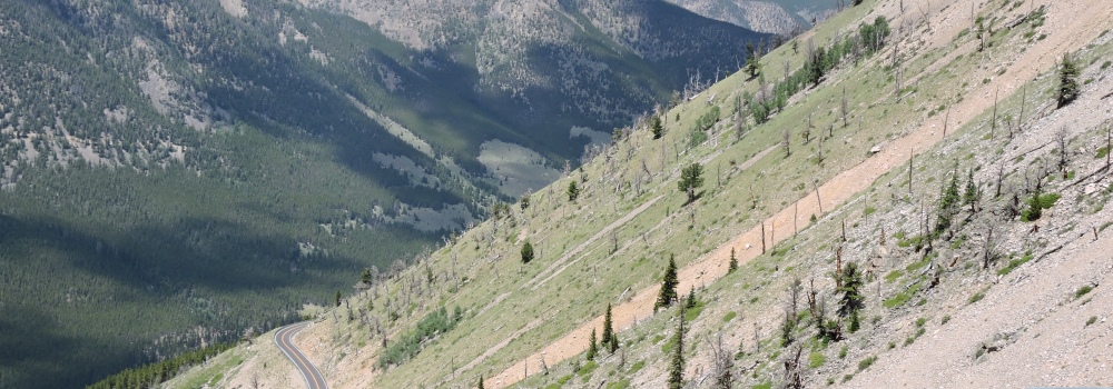 Beartooth HighwayThe Evergreen Path