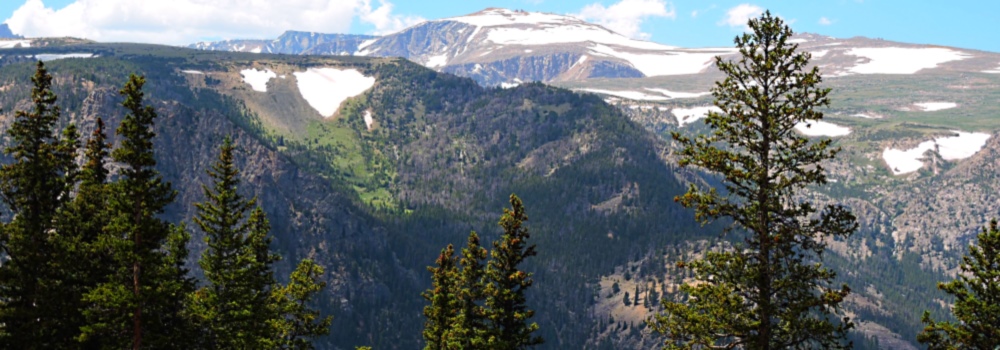 Beartooth HighwayThe Evergreen Path