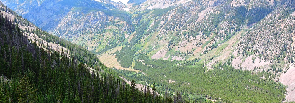 Beartooth HighwayRock Creek Vista
